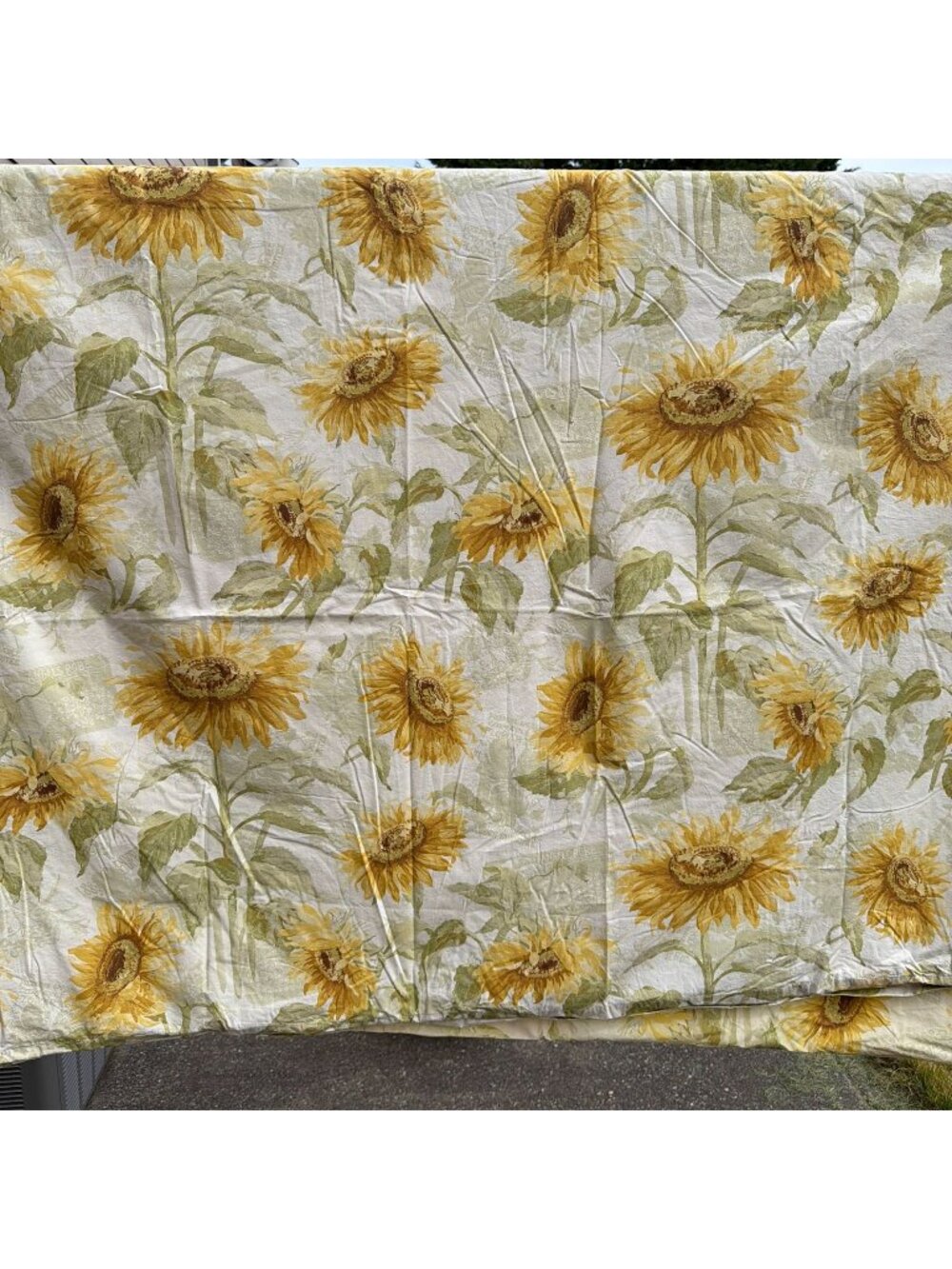 Pottery Barn Sunflower King Duvet Cover 2 Standard Pillowcases Floral Botanical